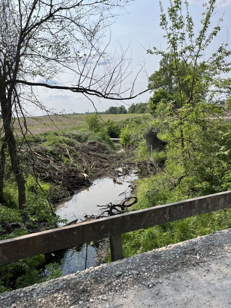 A view of a creek from a bridge